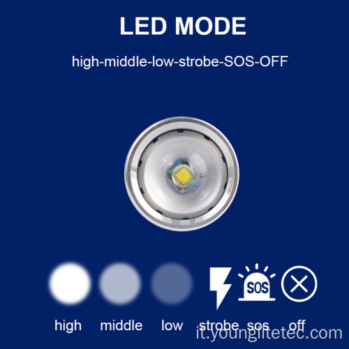 Torcia elettronica tattica 10W LED Torcia palmare